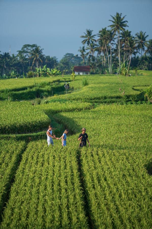 The Sun Of Granary Resort And Villas Ubud Zewnętrze zdjęcie